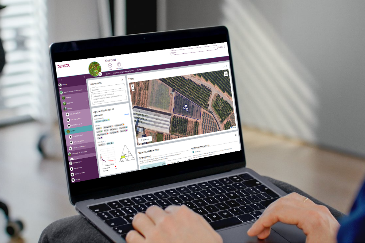 DENODL App ordenador en oficina