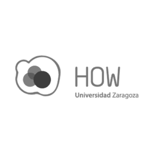 howlab unizar